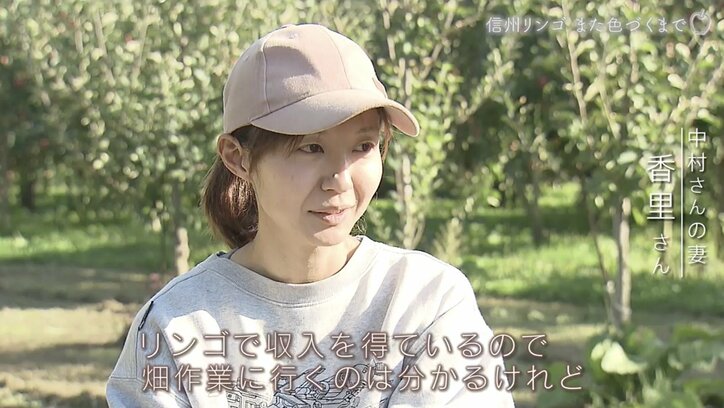 被害総額1億円超、家族とも離れ…それでも地域と仲間のために立ち上がったリンゴ農家