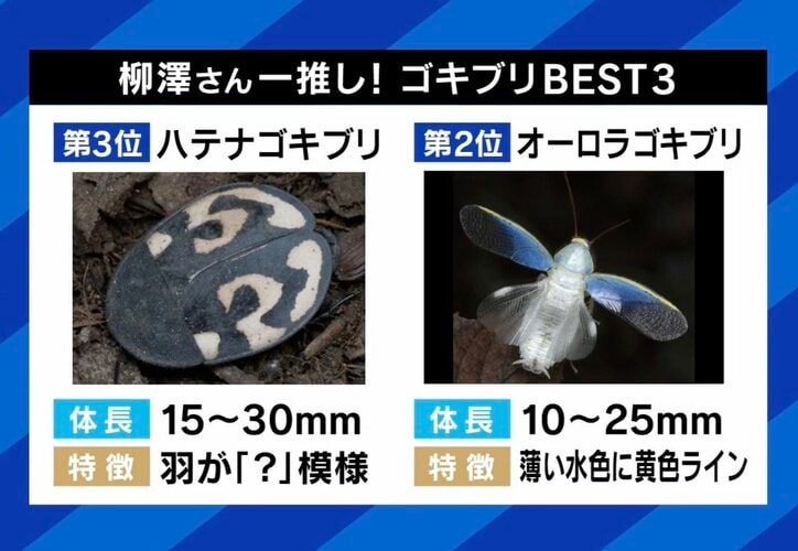 一推しのゴキブリ ベスト3