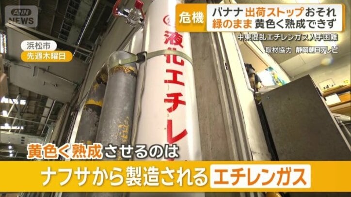 黄色く熟成させるのはナフサから製造されるエチレンガス