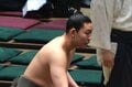 「顔と体の比率がおかしい」「小顔すぎる」188センチの“モデル体型”序二段力士に驚きの声