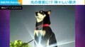 光の使者に!?神々しい柴犬の姿に「勇ましい」「変身しそう」など反響