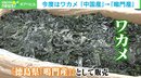 中国産ワカメを「鳴門産」に…静岡市の工場でまたも“産地偽装”
