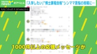 【映像】わがままじゃない! 「仕事」+「大学院」+「3人の母親」三刀流のシンママ、 博士課程へ 背中を押したのは?