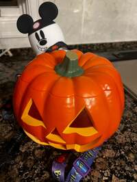 ラミレス美保『ディズニーランド③購入品』