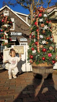 山口美沙『クリスマスのディズニーシー』