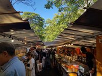 中村江里子『ママ、その方がいいよ！！！』