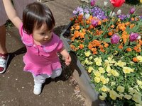 川崎希『チューリップ♡』