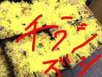 金子恵美『子供の日スペシャル』