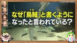 イカの“恐怖伝説”に「マジ怖い」と戦慄…漢字で「烏賊」と書く理由に視聴者ざわつく