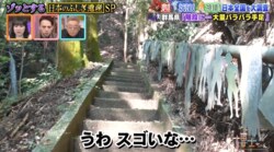 神社の階段に並べられた大量のバラバラの手足…不気味すぎる光景に芦田愛菜ら驚愕