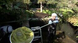 「取り壊す前に保護して」←探偵「無理！」とギブアップ…巨大生けすから魚を救えるか？“水ぜんぶ抜く作戦”は成功なるか？