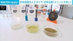 対米投資の人工ダイヤ 日本企業「メリット大きい」