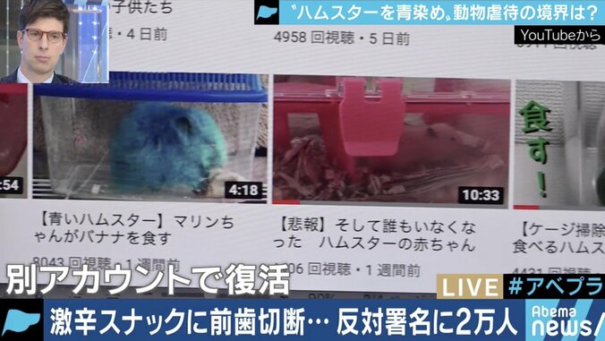 【写真・画像】苦しむハムスターの動画をYouTubeに…止まぬ動物虐待、法改正後は初犯で懲役刑も　4枚目