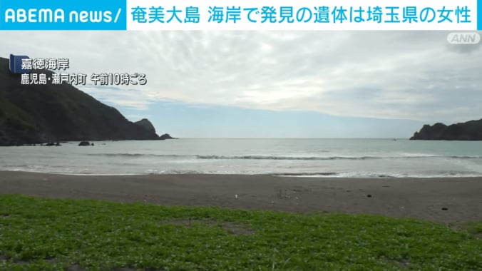 嘉徳海岸