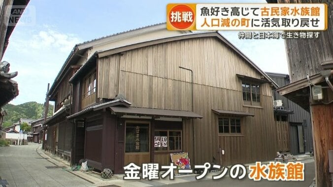町の小さな水族館「おばま水族館」