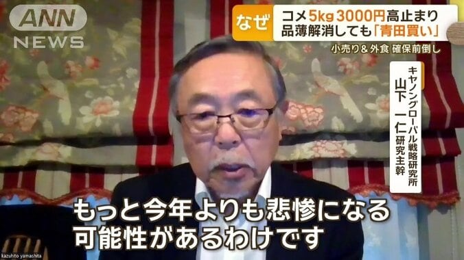 キヤノングローバル戦略研究所　山下一仁研究主幹