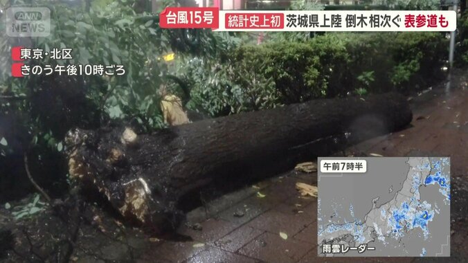 東京・北区の倒木
