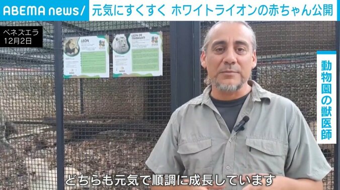 動物園の獣医師