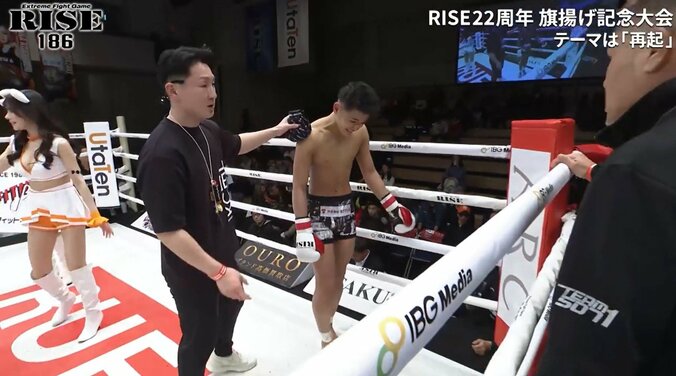 右肩を痛め苦悶の白鳥