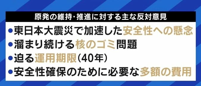 この冬、首都圏では電力危機の可能性も?…脱石炭と脱原発、目標達成は本当に可能なのか 5枚目