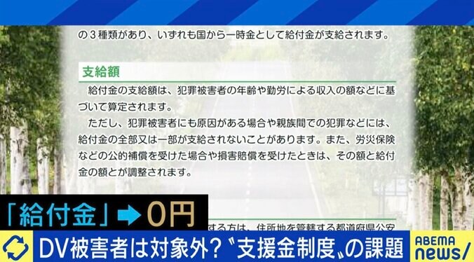 娘と息子を殺害されても680万円、殴られ後遺症が残っても0円…「犯罪被害給付制度」の不条理はナゼ起きる？ 10枚目