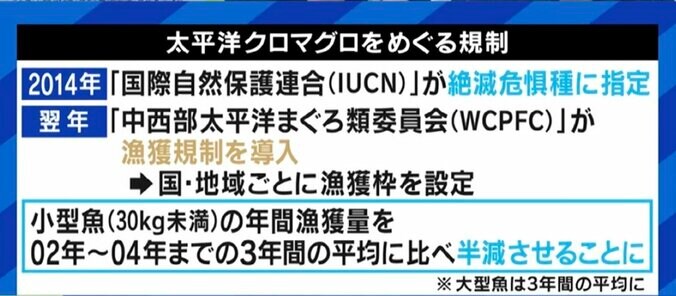 せっかく獲れたクロマグロを海に戻さなければならない現実…専門家「漁獲量の安定のため、今はまだ我慢しなければならない」 4枚目