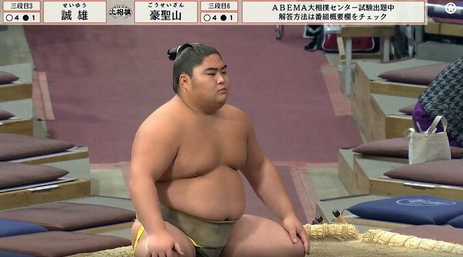 綺麗にパンプアップされた三段目三枚目・誠雄（秀ノ山）と整えられたキリリ眉