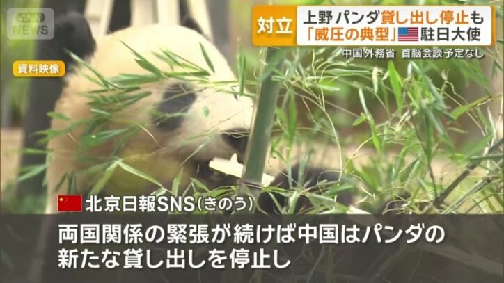 「パンダの新たな貸し出し停止の可能性も」
