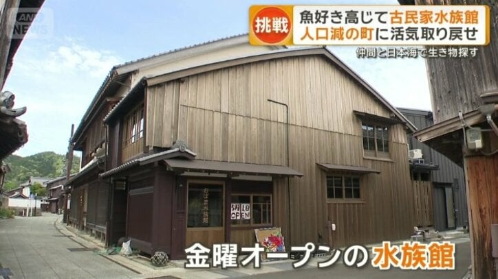 町の小さな水族館「おばま水族館」