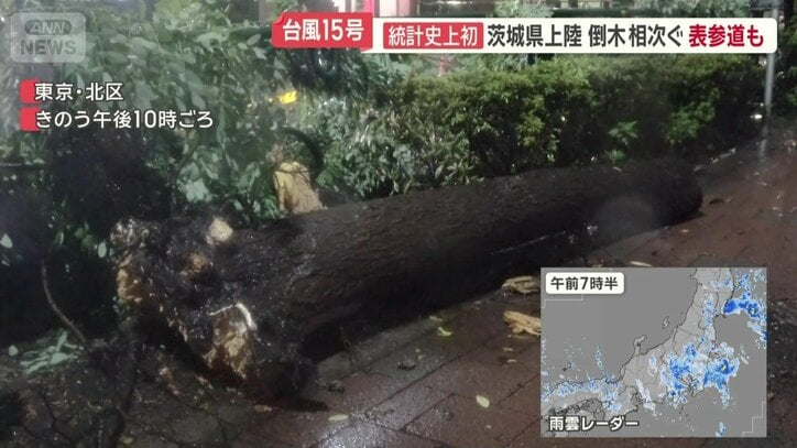 東京・北区の倒木