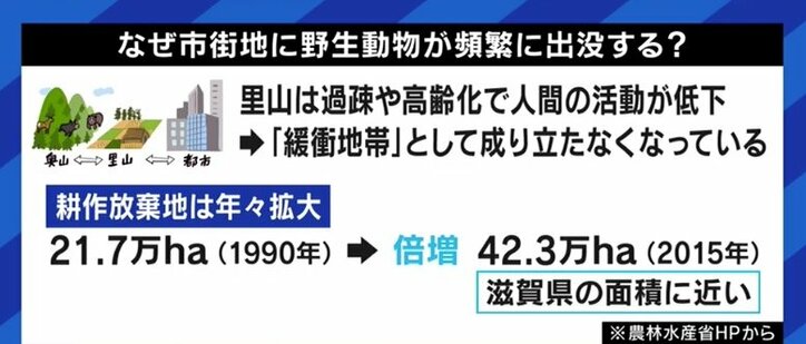猟友会に駆除を依頼するのは限界…住宅街での発砲でハンターが銃を取り上げられてしまうケースも