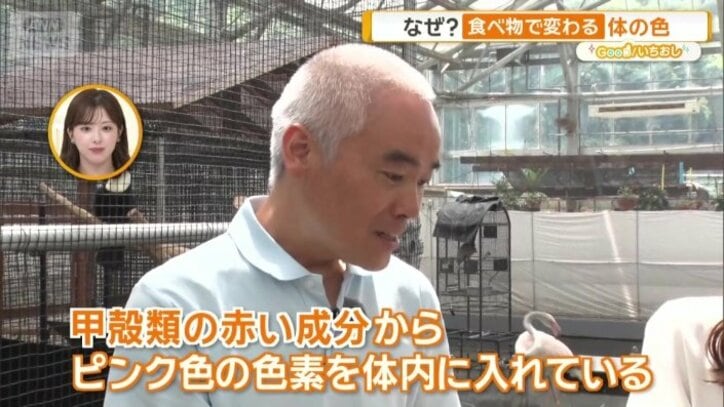 飼育スタッフ　北條龍哉さん