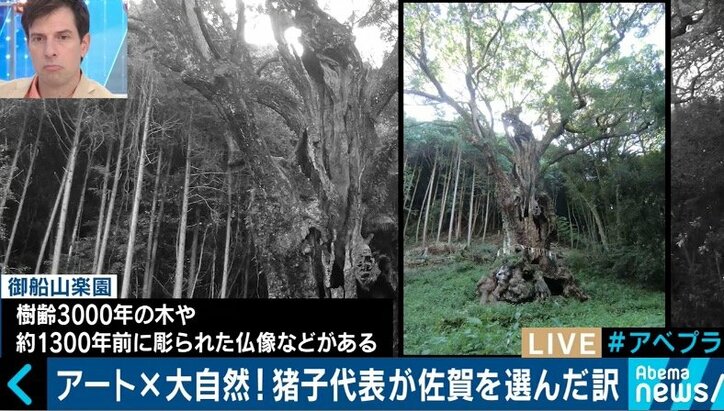 「アートと大自然をボーダレスに」チームラボが挑む新境地