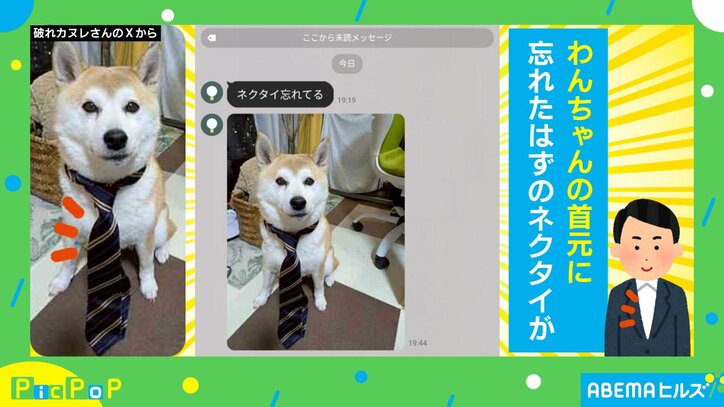 ネクタイを首元に締めたマリーちゃん