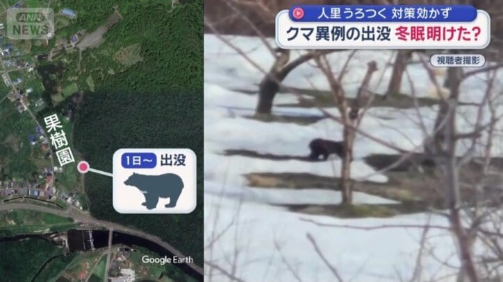 リンゴの実は、まだない