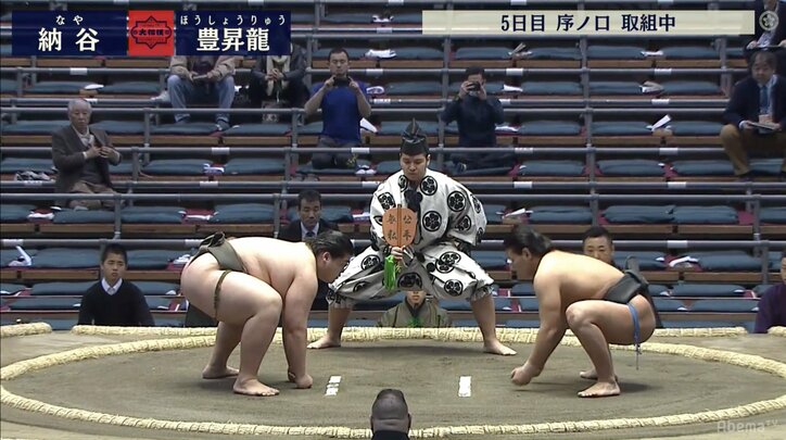 未来の横綱候補生 大鵬の孫・納谷と朝青龍のおい・豊昇龍のライバル対決第1章