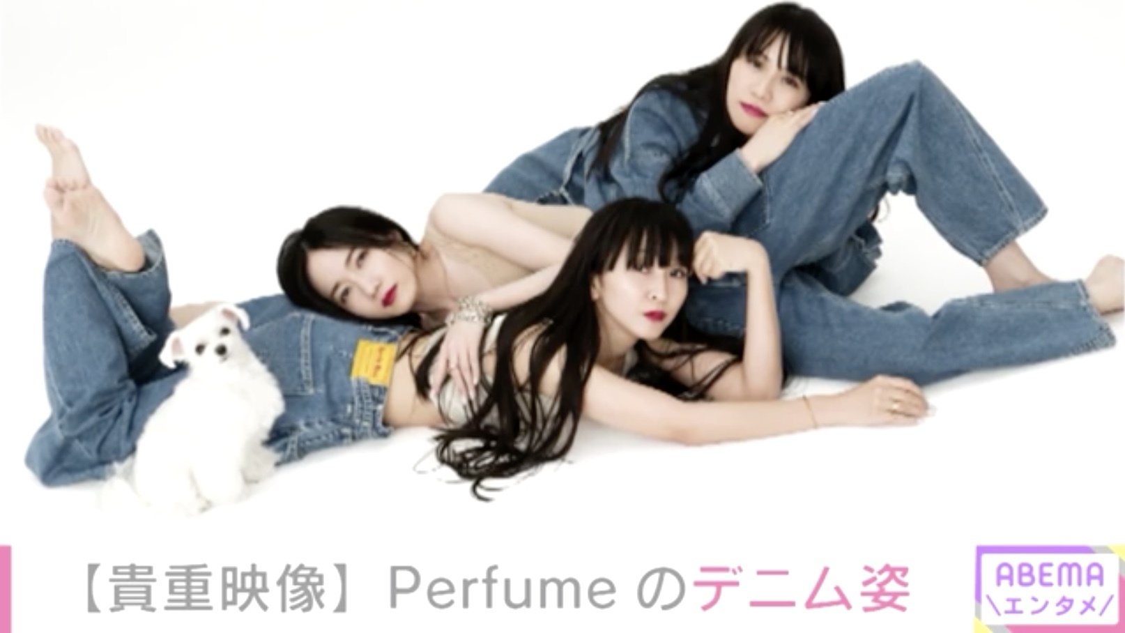 Perfume、レアなデニム姿を披露！あ～ちゃんの愛犬も撮影に参加 | 芸能 ...