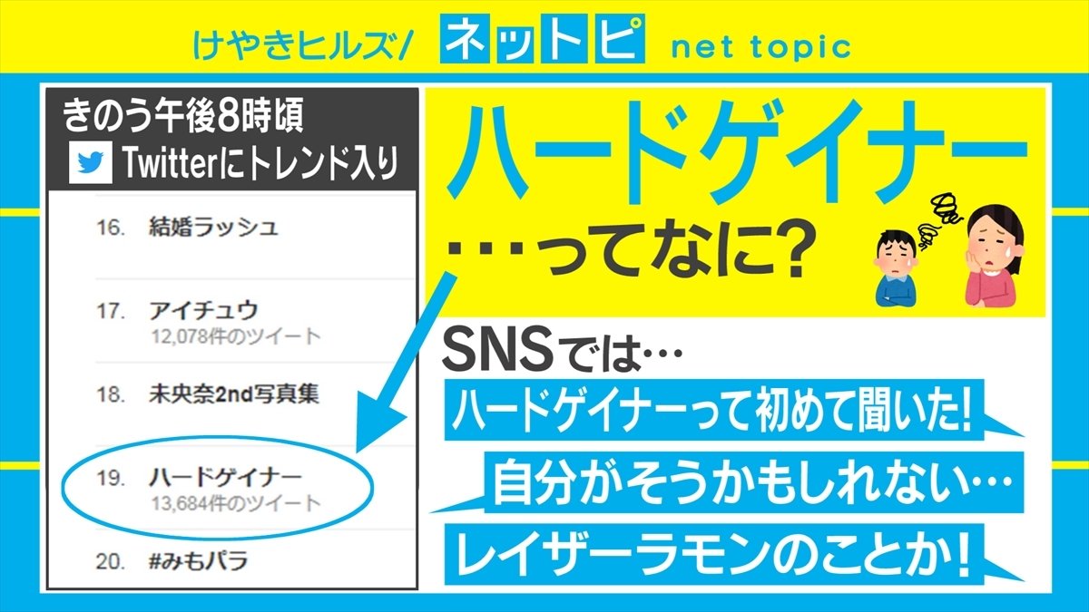 ハード ゲイナー 診断