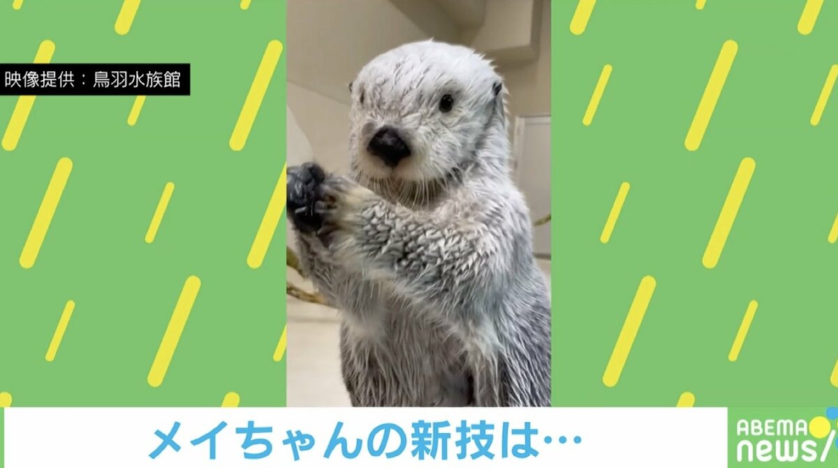 img_6b6e423cfb02adcb6ee8ca9566