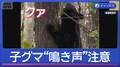子グマの鳴き声「クァ」に注意 秋田県警で警官にライフル講習 対策も