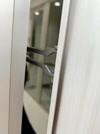 アレクサンダー『ゴミ出してる隙に締め出されました』