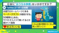 GWに「おうち水族館」これは“神”