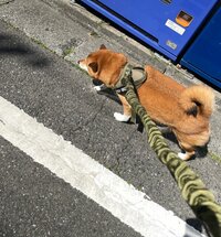 尾形あい『なんとなんと、、、』