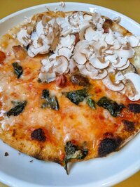 小林麻耶『休演日』