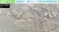 【映像】五輪直前、東京湾の“水質問題” 本当に大丈夫?