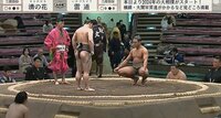 【映像】18歳力士の打点が高い四股