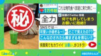 何度見てもカワイイ…1歳児の“全力のお願い”