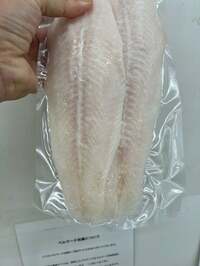 デンジャラス ノッチ『ダイエットにナマズを頂きます』