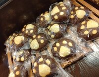 藤あや子『ネコがいっぱい』