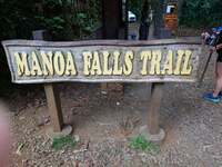 秋野暢子『ハワイの森林浴』